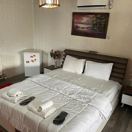 住宿加早餐酒店 Parkotel